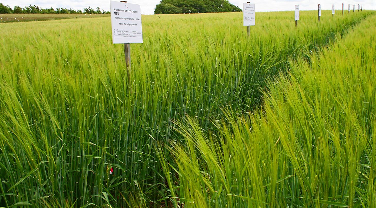 Field and technology trials